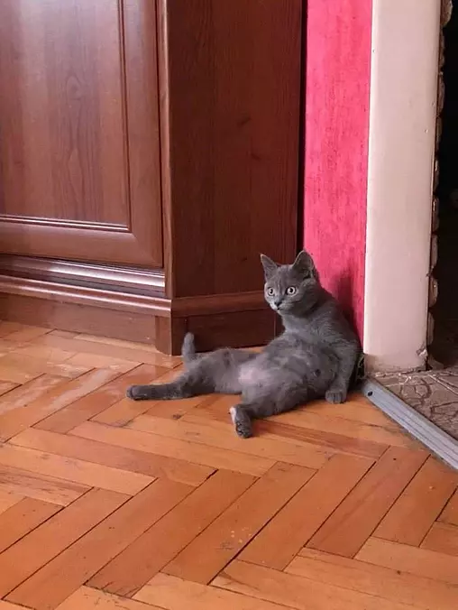 Where I Want To Sit