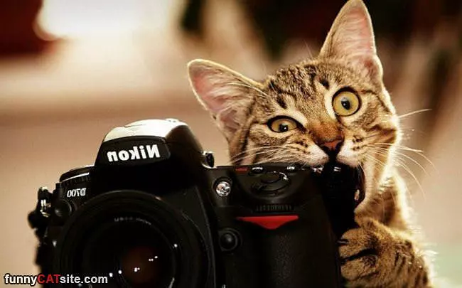 Taking Some Pics Of My Own