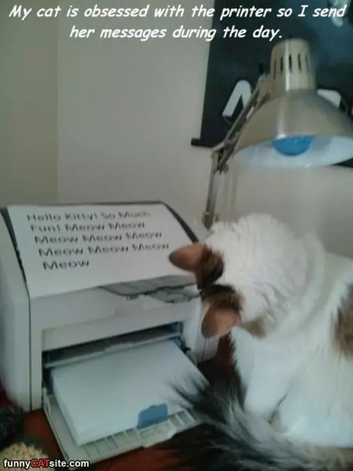 I Love The Printer