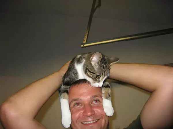 The Cat Hat