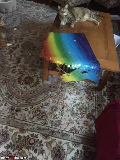 Hated This Puzzle