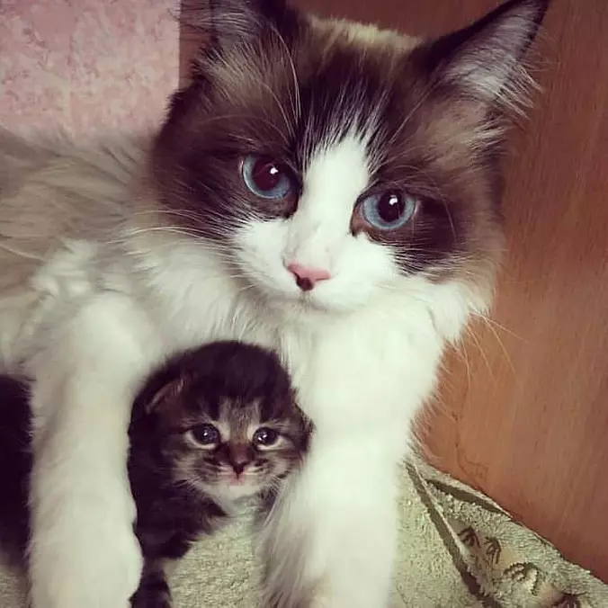 I Am With My Mommy
