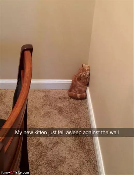 Fell Asleep
