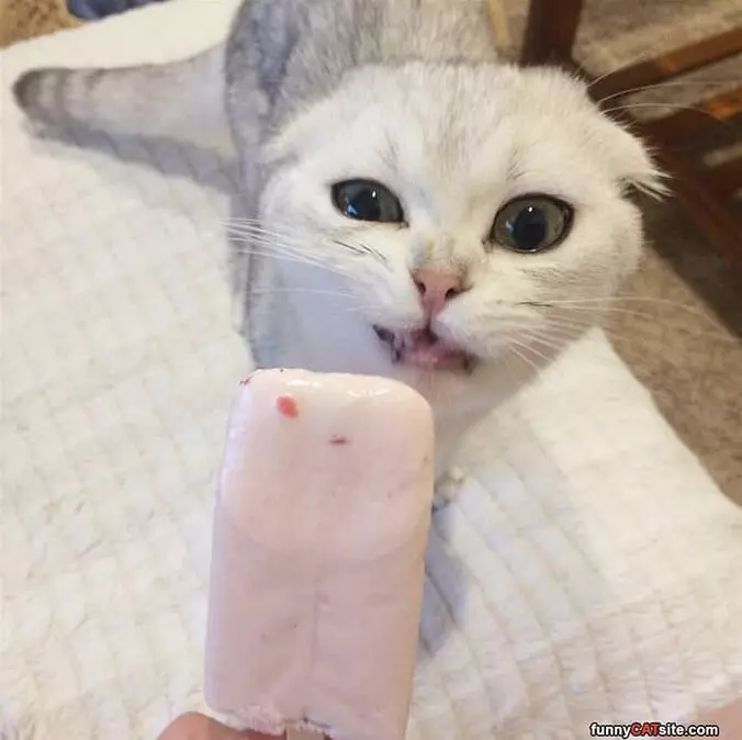 Eat It Up