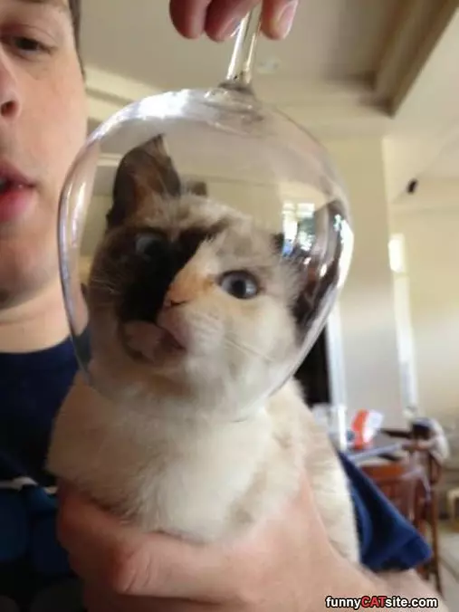 Like A Space Suit