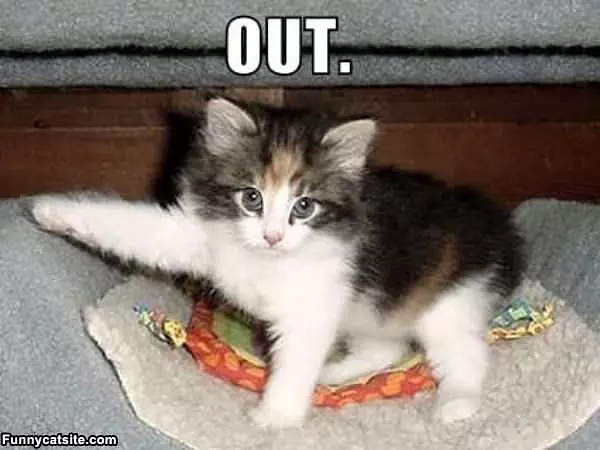 Out