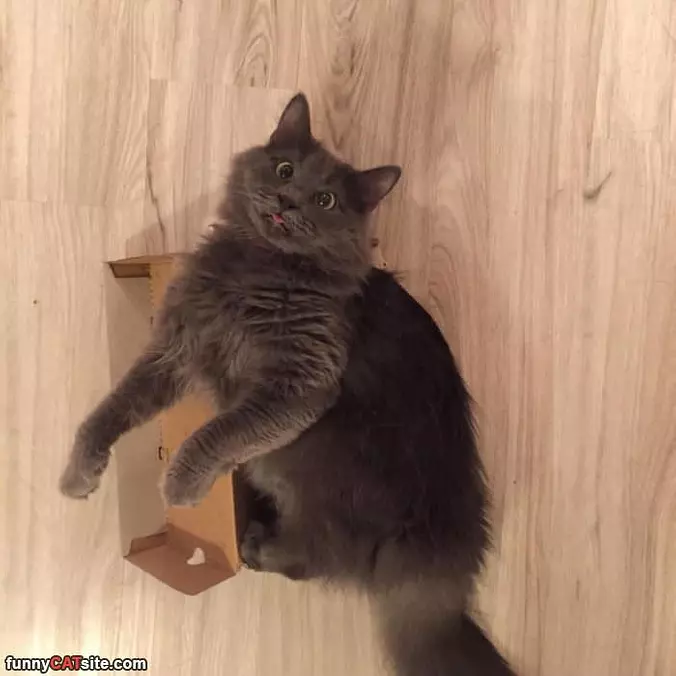 Hanging Out