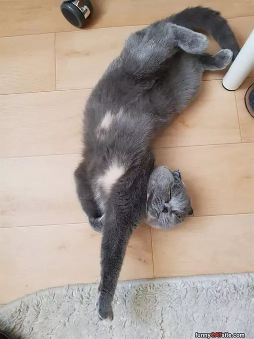 Relaxxxxxxed