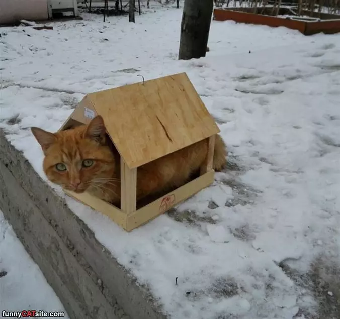 I Fit Just Fine