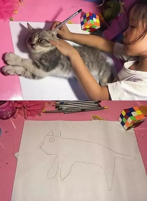 I Drew A Cat