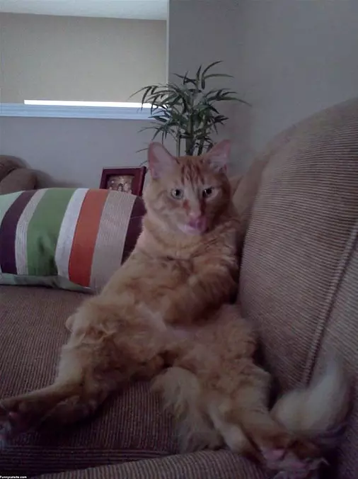 So Relaxed