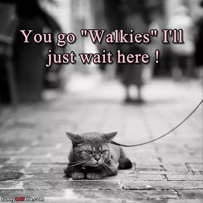 No Walkies For Me