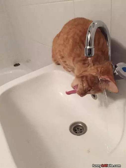 Getting Water