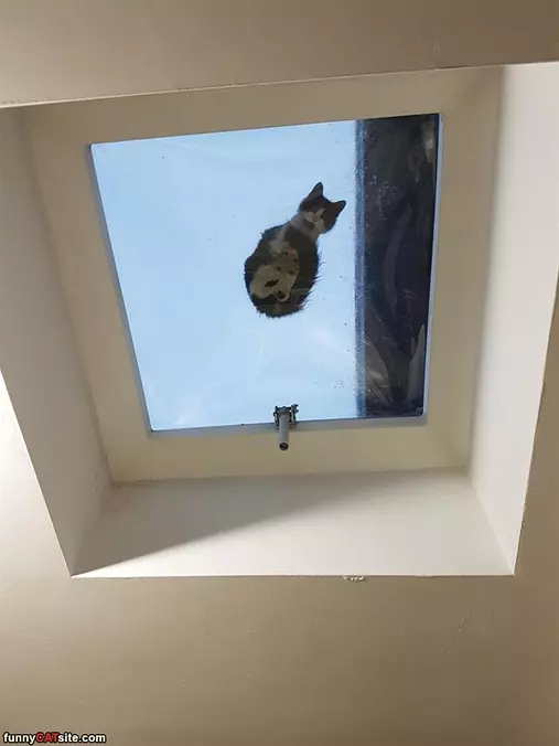 This Is My Spot Now