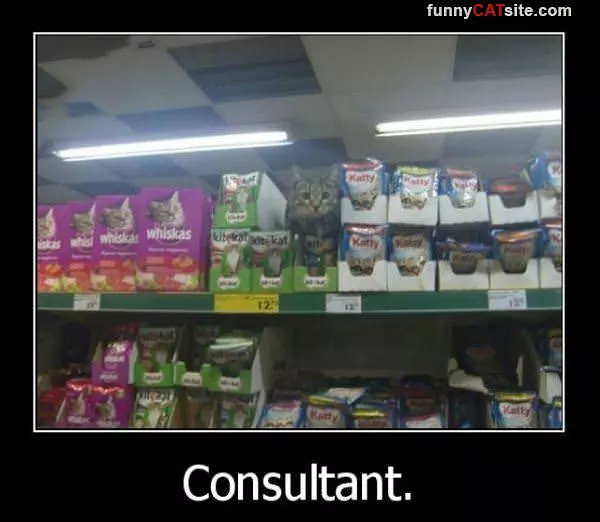 Consultation