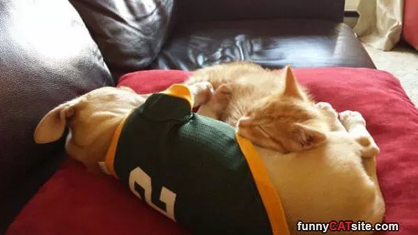 Asleep With My Buddy