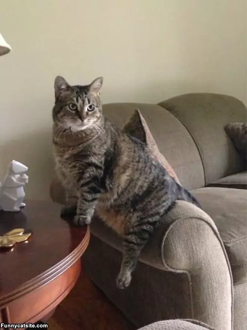 How I Sit On The Couch