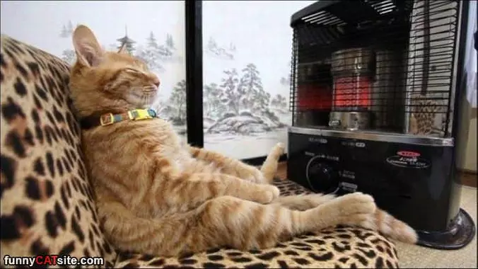This Is So Relaxing