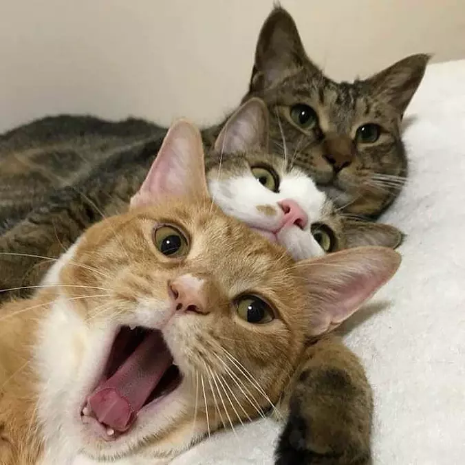 3 Of Us