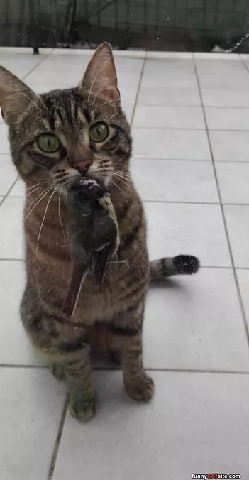 I Got You This