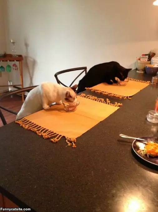 Proper Eating