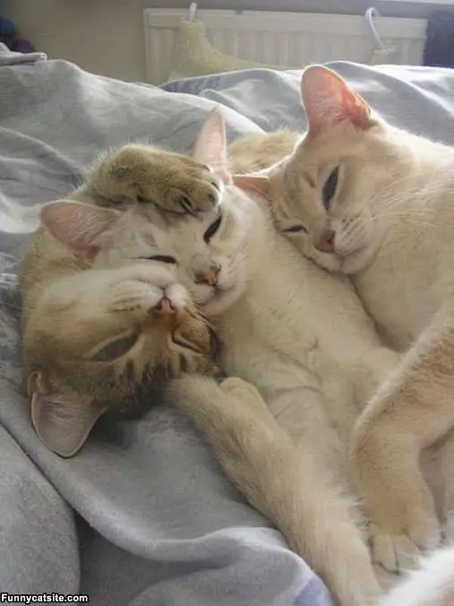 All Sleeping Like Dis