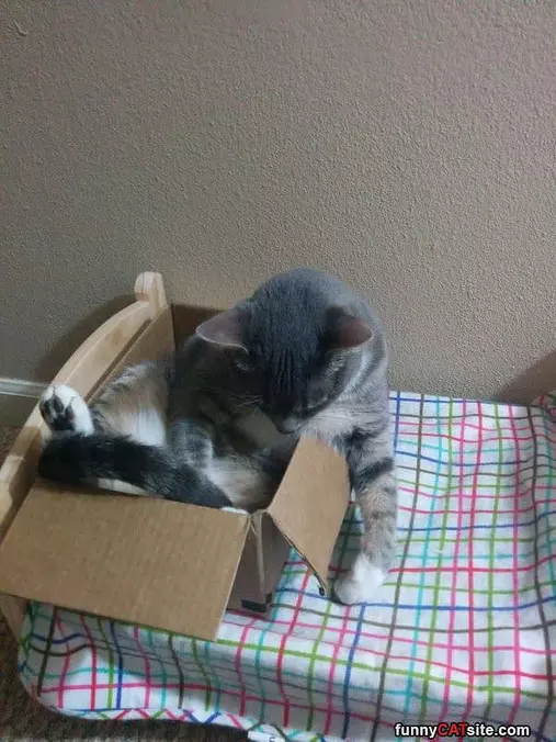Chillin In My Box