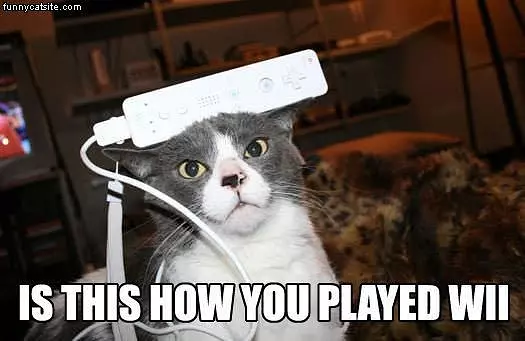 Wii Cat