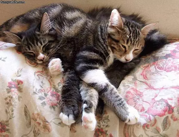 Group Relax