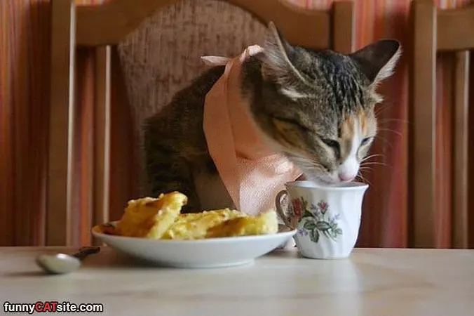 A Good  Breakfast