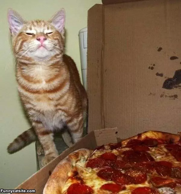 Smells Delicious