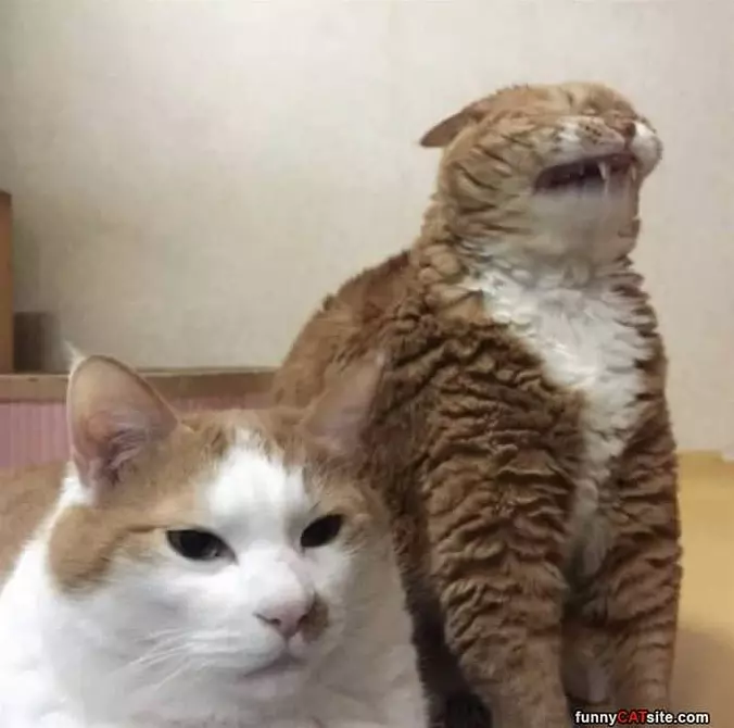 Pfffffffft