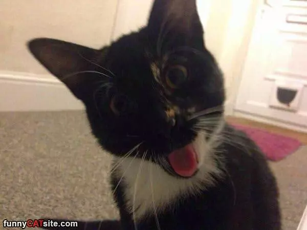 Wazzzuoppppp