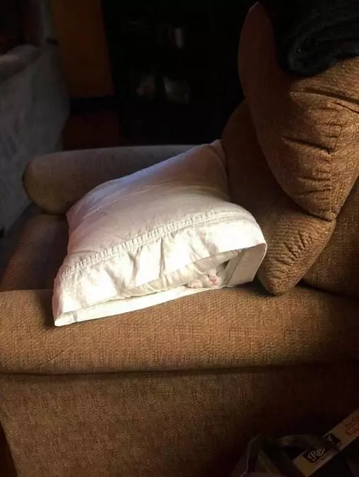 The Perfect Spot