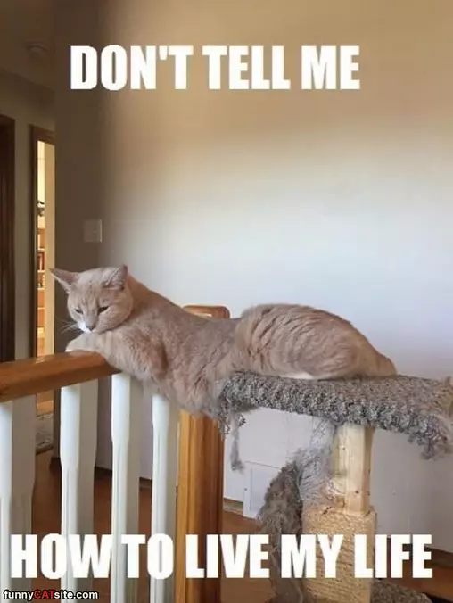 Dont Tell Me
