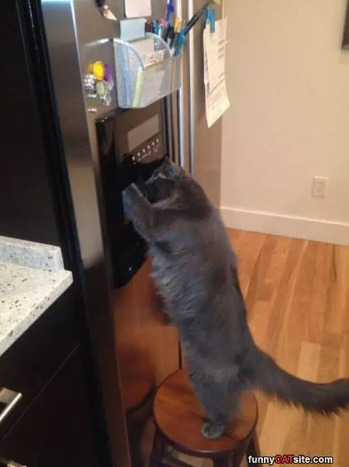 Give Me A Cube
