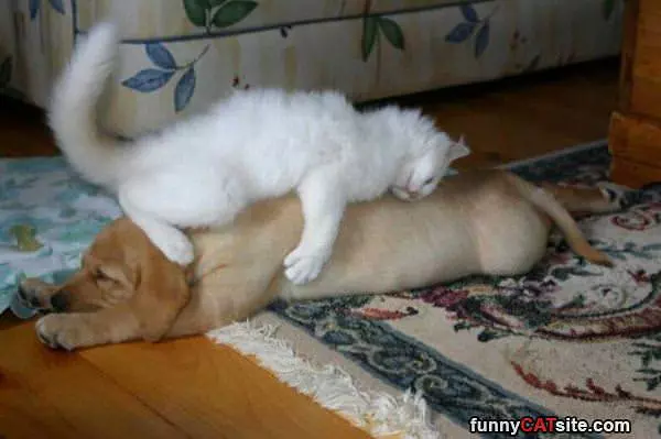 You Make A Great Bed