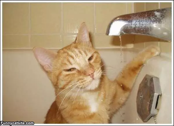 Tub Is Satisfying