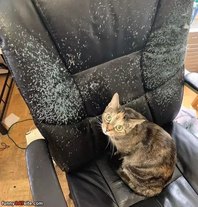 Good Scratching Post