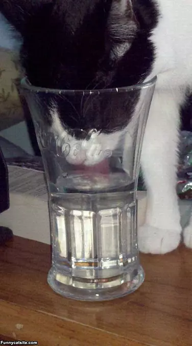 So Thirsty