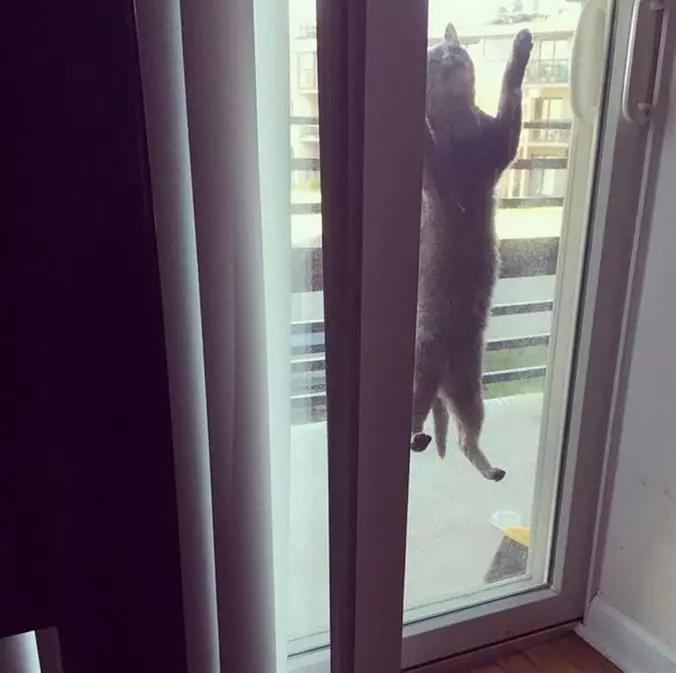 Climb Up