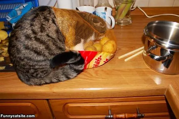 I Loves Potatoes