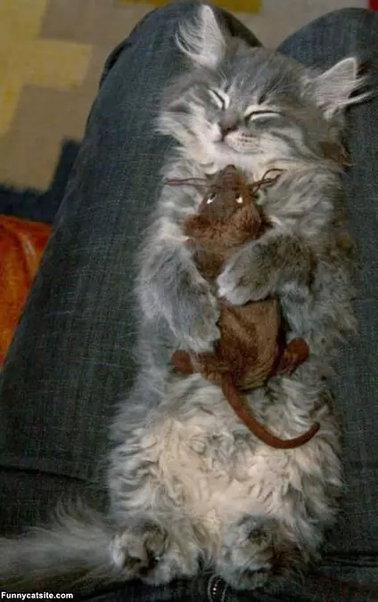 Hugging In My Sleep