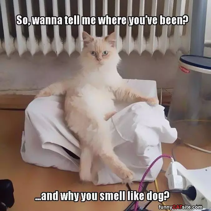What You Got In Here