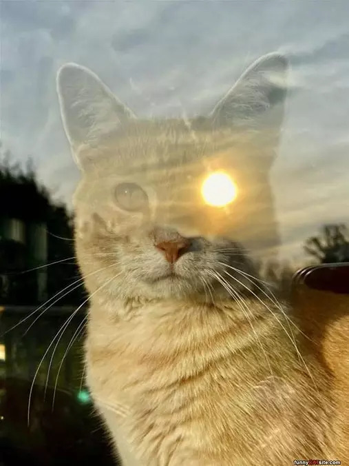 The Sun Eye