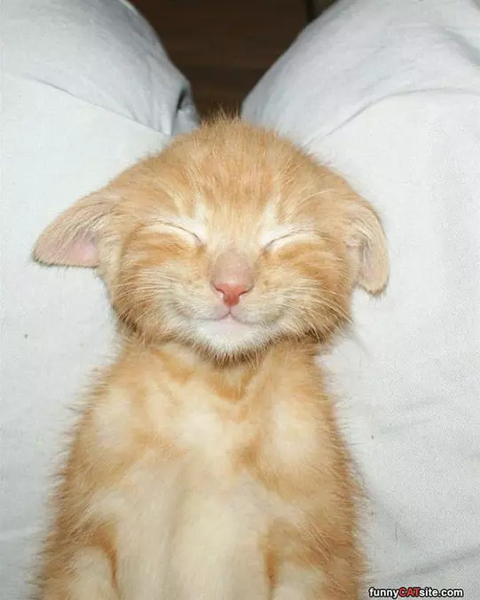 Sooooo Sleeepy