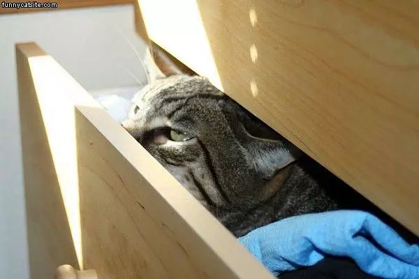 Please Close This