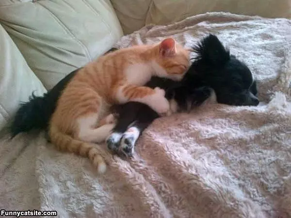 Sleeping Together