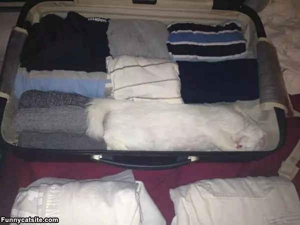 Take Me With You