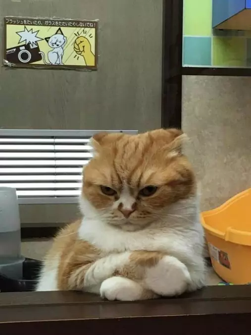 I Have Had Enough